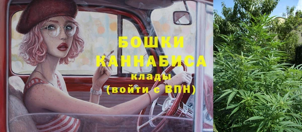 ПСИЛОЦИБИНОВЫЕ ГРИБЫ Абдулино