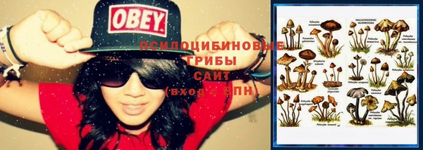 таблы Абаза