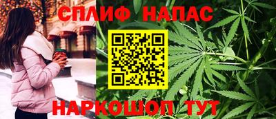крисы Малгобек