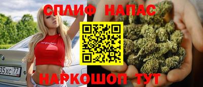 крисы Малгобек