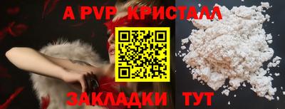 крисы Малгобек