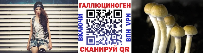 Псилоцибиновые грибы Cubensis  Великий Новгород 
