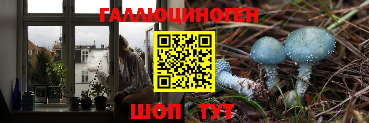 Псилоцибиновые грибы мицелий  Вход с VPN  Великий Новгород  Галлюциногенные грибы мухоморы 